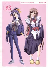 Natural 2 Duo Visual Fan Book