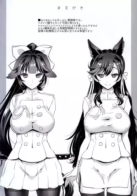 SAKURA FLEET