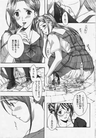 COMIC Penguin Club 2009-12