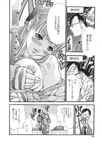 [Miyazaki Maya] Miyazaki Maya Daizukan EX Deluxe Special