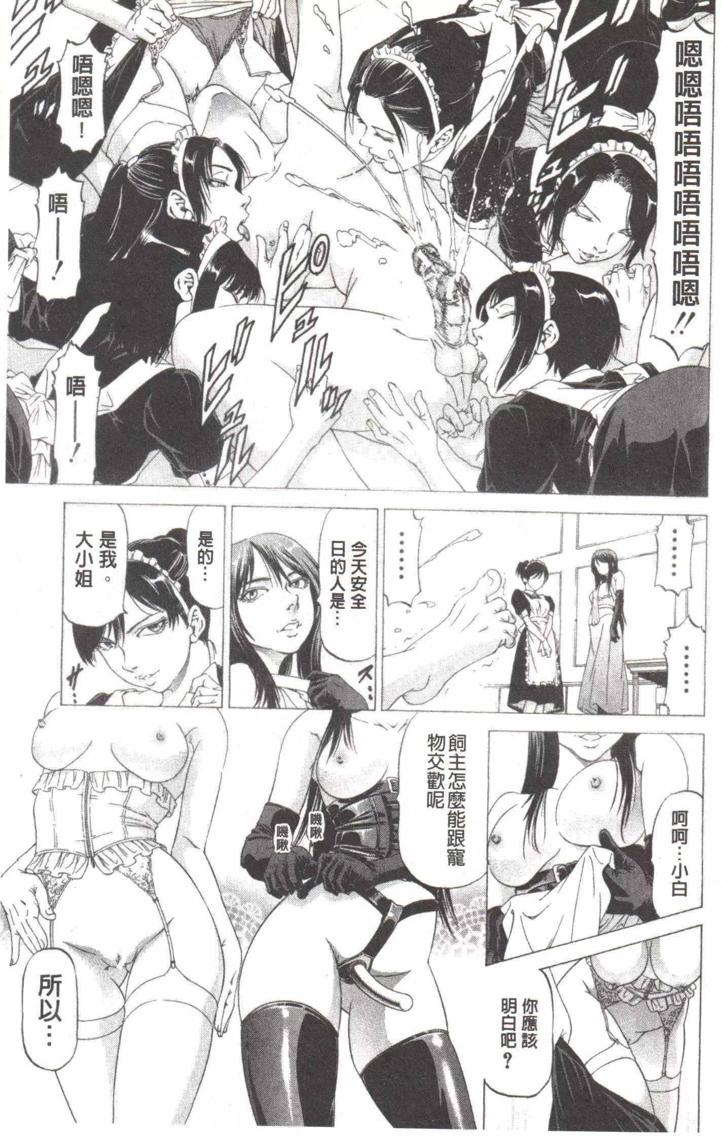 Kono Hentai Yarou! | 这个变态的家伙！