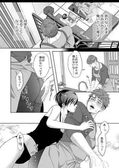 Kaseifu no Seijijou - Male housekeeper's sexual circumstances