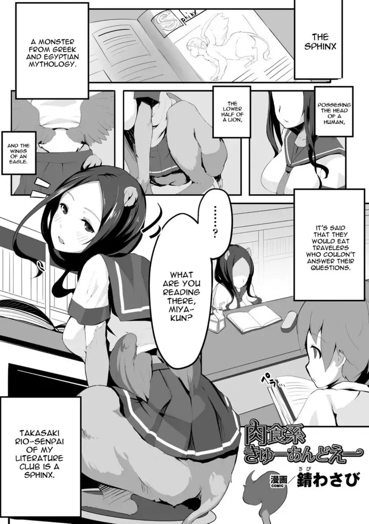 Nikushokukei Q&A | Carnivore Q&A English]