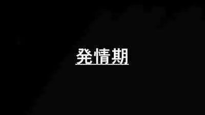 Love Love Shinkon!! Mada Couple-kan ga Nukete Inai yo, Dakara Watashi ga Uwaki suru Hazu Nai.