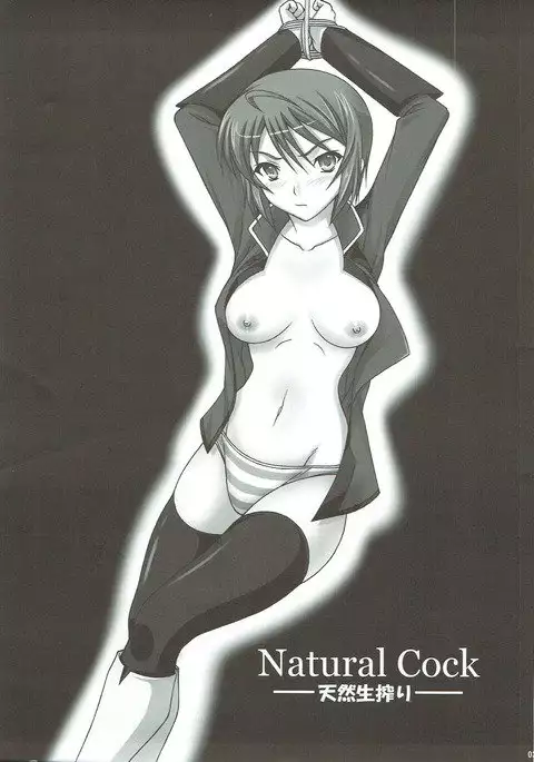 Natural Cook -Tennensei Shibori-