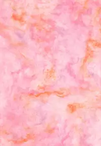 [Piyokoya (Kobayashi Hiyoko)] Sono Hana o Tsumu Mono (Revolutionary Girl Utena)