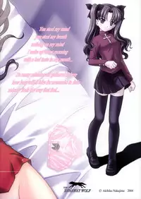 (C66) [STUDIO RUNAWAY WOLF (Nakajima Akihiko)] Fahrenheit 99 (Fate/stay night)