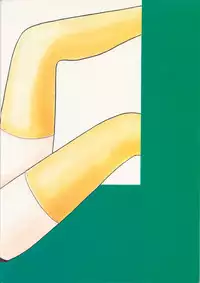 (C43) [Secret Society M (Kitahara Aki)] ANICE (Sonic Soldier Borgman)