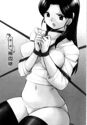 Reijou Maiko ~Kyuuke no Hien~