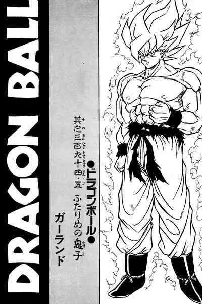[Rehabilitation (Garland)] DRAGONBALL H Bessatsu Soushuuhen (Dragon Ball Z) [English] (Dragon Ball Z) [English] [biggiedickie]