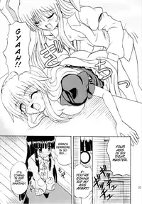 (Reitaisai 3) [Takakuya (Takaku Toshihiko)] Touhou Youjo Ranbu 6 | Touhou Enchantresses' Dance 6 (Touhou Project) [English]