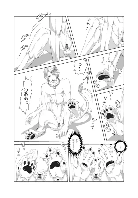 my little littlr cat