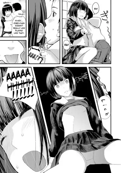 Otomezaurus