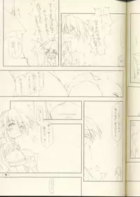 (C62) [ANGYADOW (Shikei)] ZAN (Utawaremono)