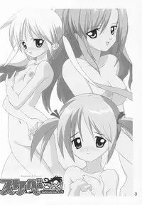 (C69) [Paradise City] Tabeta Kigasuru 76 Sukebe no Gotoku (Hayate no Gotoku)