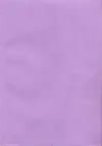 [Chitose Rin] Mijuku na Kajitsu Vol.2