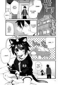 (COMITIA114) [Nikomutoko (Nabenco)] Roboneko ofuro mo issho [English] {Shotachan}