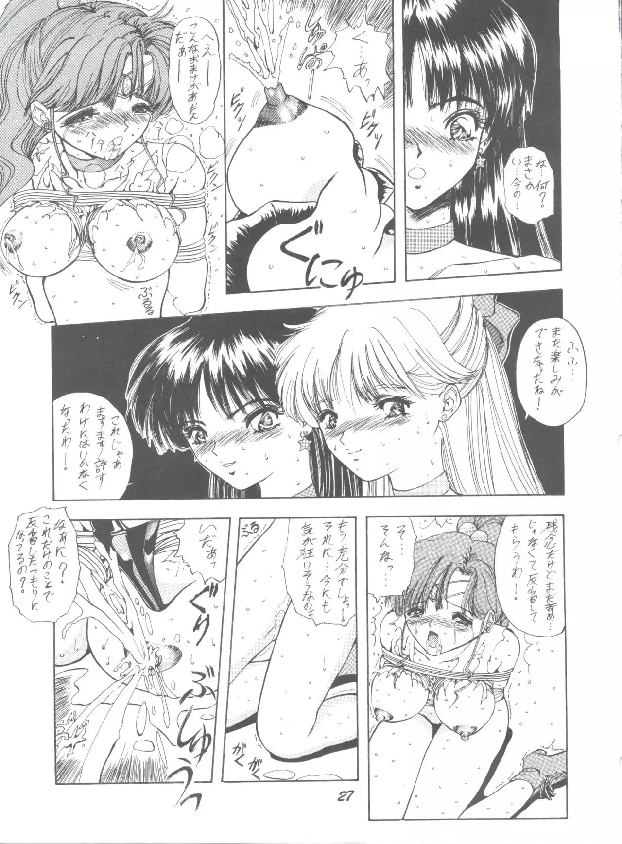 Pussy Cat Vol. 25 Sailor Moon 2