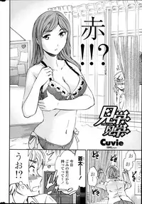 COMIC Penguin Celeb 2013-12