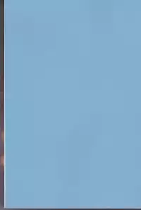 (C90) [Puratina no Sakana (Orihara Kotone)] Nangoku e Youkoso (Fire Emblem if)