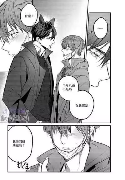 巴夫洛夫的大貓貓 01-14