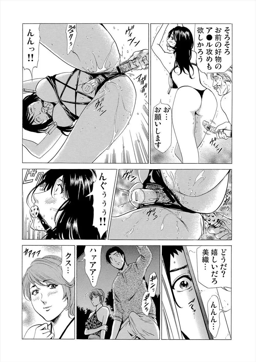 Gibo netori vol.2~ fukushū no yakata