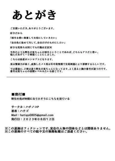 Yasei no Usagi ga Nakama ni Naritasou ni Kochira wo Miteiru