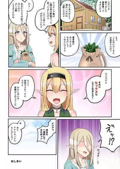 Elf no Otsukai!