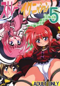 [Thirty Saver Street 2D Shooting] Storage Ignition 5 (Mahou Shoujo Lyrical Nanoha)