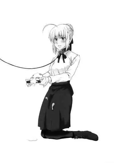 Saber-san de Kyou no Gohan