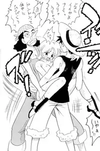 [Ginmomodou (Mita Satomi)] Zokuzoku Koukai Nisshi (One Piece)