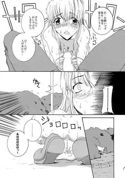 (CR33) [F-A (Honoutsukai)] Xs