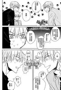 [Summer dogday (Y.tea)] Double Darling (Kuroko no Basuke) [Chinese]