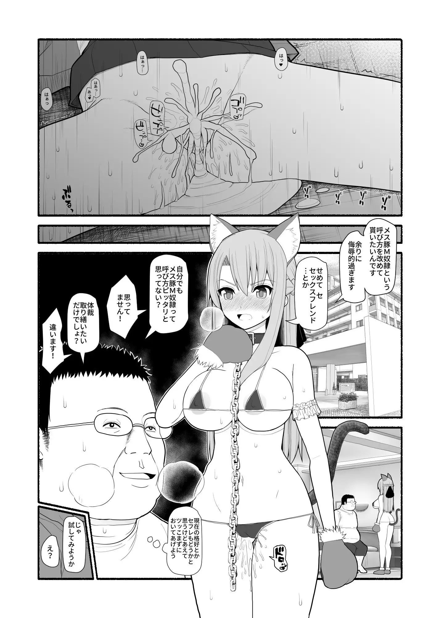 Mesu Buta Saimin Appli