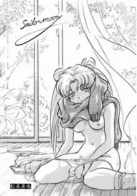 Henreikai Premium (Sailor Moon)