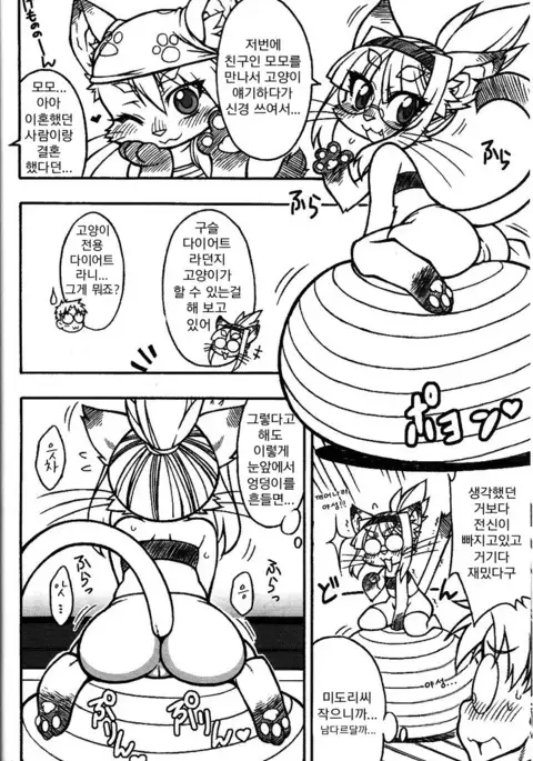 Nekotama | 네코타마