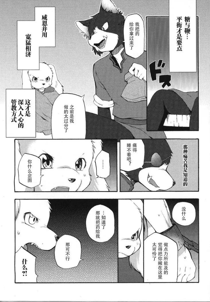 UNDER DOG