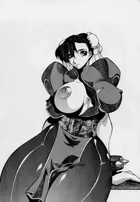 (C56) [Nobita Jimetsu System (Hattori Chihiro, Himikado Ryuuki)] Funsai Kossetsu 3 (Street Fighter)