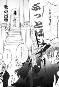 (Majutsushi to no Kizuna) [LAST EDEN (Amane Mari)] DESTINY LOVER (Fate/stay night)