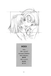 (C64) [Hen Rei Kai (Kawarajima Koh)] Amihota Side:C (Bishoujo Senshi Sailor Moon)