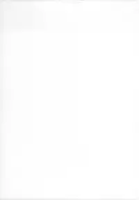 no_text To translator (C86) [Yokohama Junky (Makari Tohru)] Solo Hunter no Seitai 4 The third part (Monster Hunter)