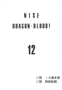 (C63) [LTM. (Hajime Taira)] Nise Dragon Blood! 12