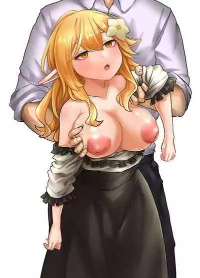 [Beauty Salon B & S (BS3)] Elf o Okasu Hon 2 [Chinese] [逃亡者x新桥月白日语社汉化] [Digital]