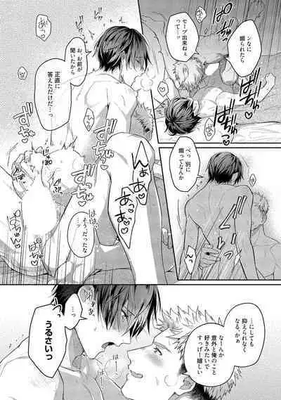 Orera wa Sukiau You ni Dekiteru