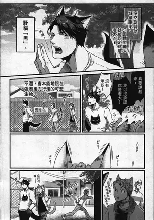 Hatsujou Kemono Hiyori | 發情野獸日和