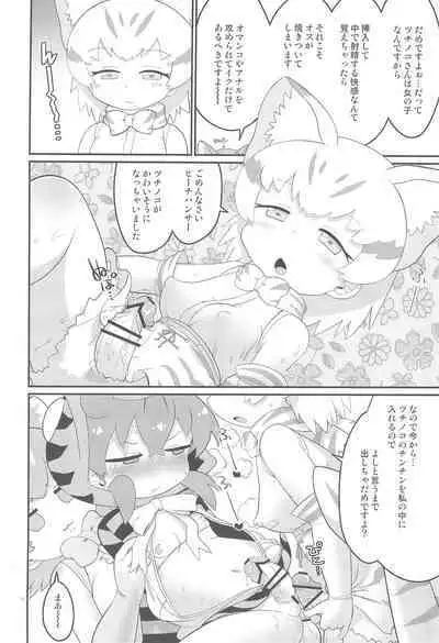 Tsuchinoko no Chinchin Tengoku Shasei Jigoku