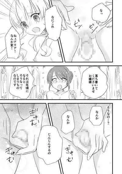 Ojou-sama no Himitsu