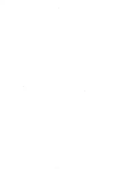 (C52) [Sanketsushuu (Sanzui)] Degarashi Azuki-chan (Azuki-chan)