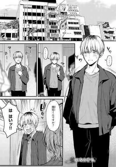 COMIC Anthurium 2024-05