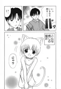 [Anthology] Pure Petit Vol. 6